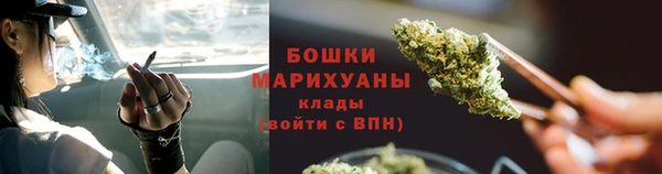 PSILOCYBIN Абаза