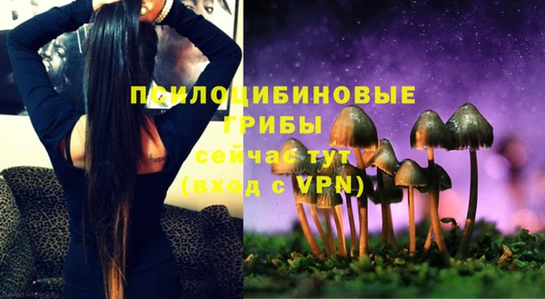 PSILOCYBIN Абаза