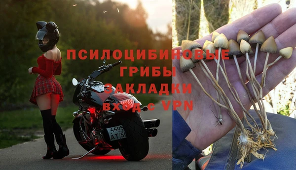 мескалин Карпинск
