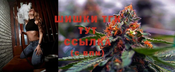 ешки Абинск