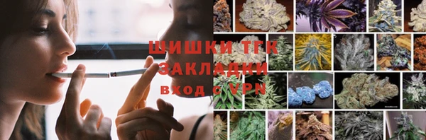 шишки Гусев