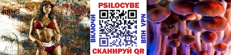 купить   Отрадное  сайты даркнета Telegram  Галлюциногенные грибы GOLDEN TEACHER 