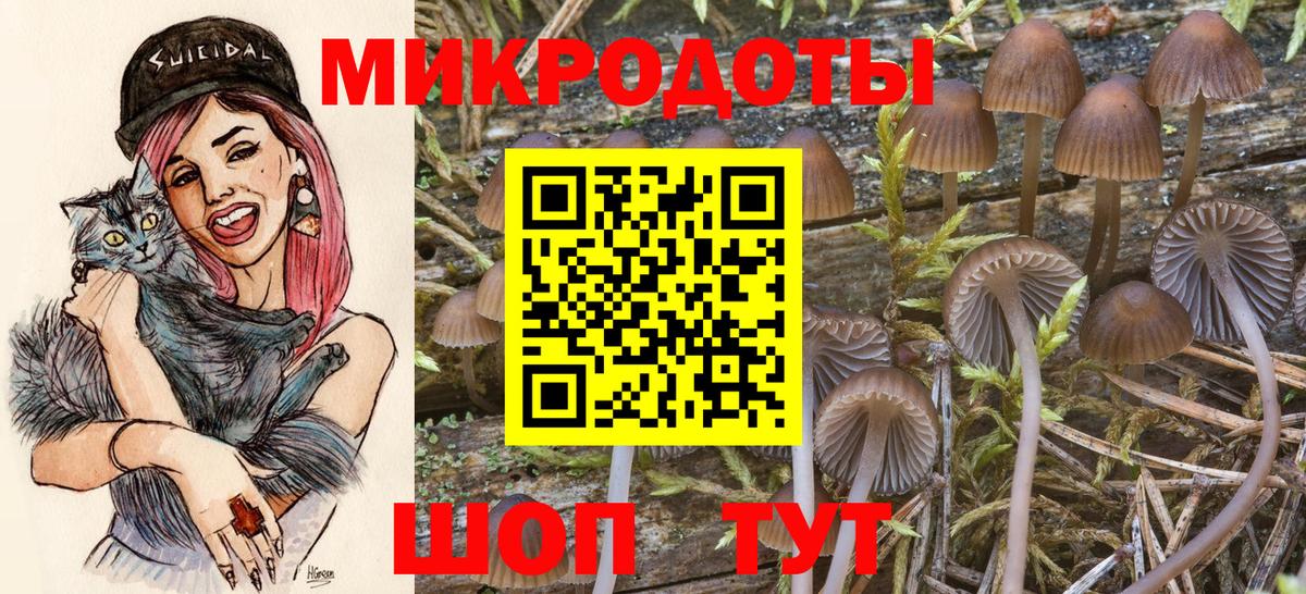 Галлюциногенные грибы мицелий Отрадное
