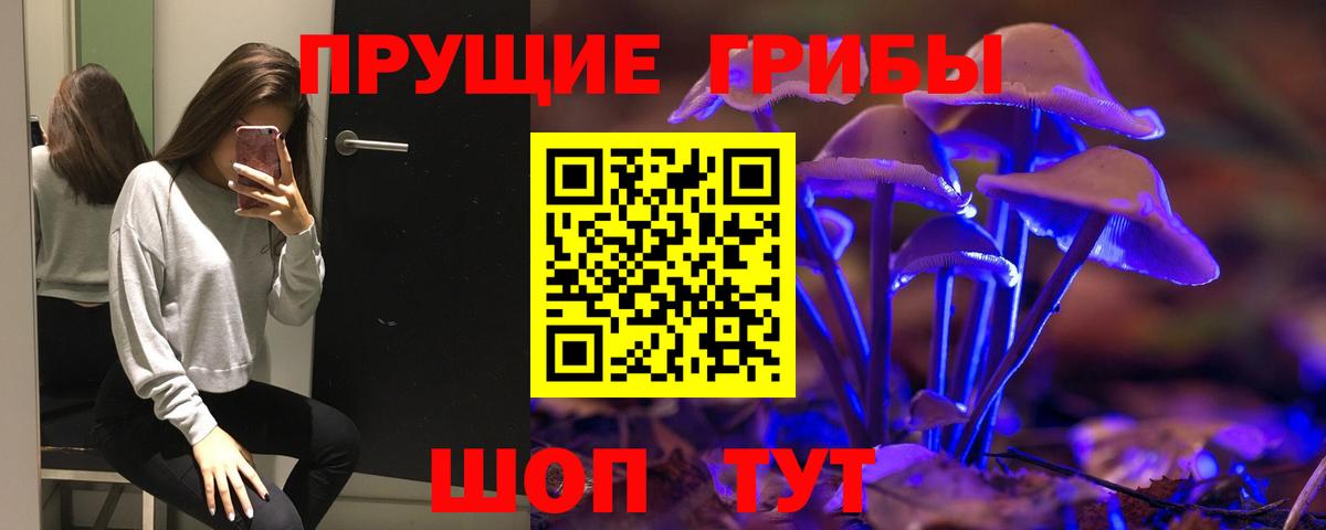 Отрадное  Галлюциногенные грибы ЛСД  Вход с VPN  Псилоцибиновые грибы ЛСД 