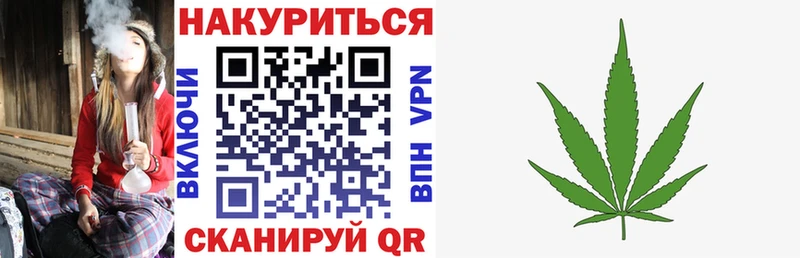 Бошки марихуана THC 21%  hydra как войти  Отрадное 